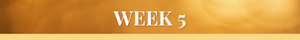week 5